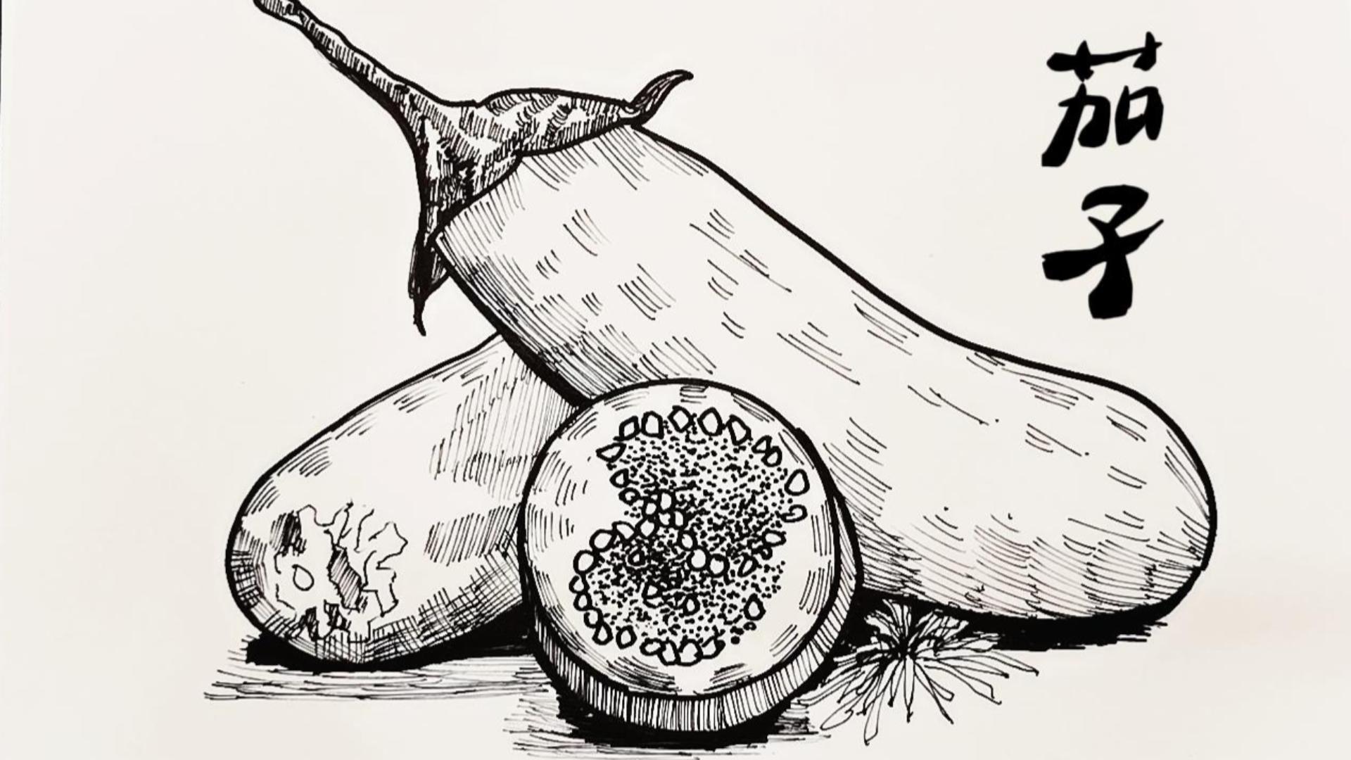 适合812岁线描画茄子快学起来吧