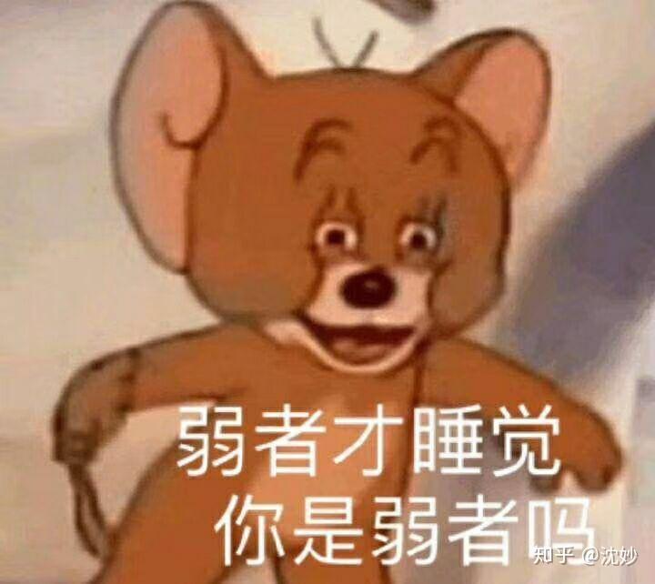 溫柔又可愛的晚安文案沙雕表情包