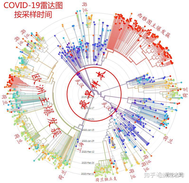 转:全球共享新冠毒株数据库揭示的真相 - 知乎