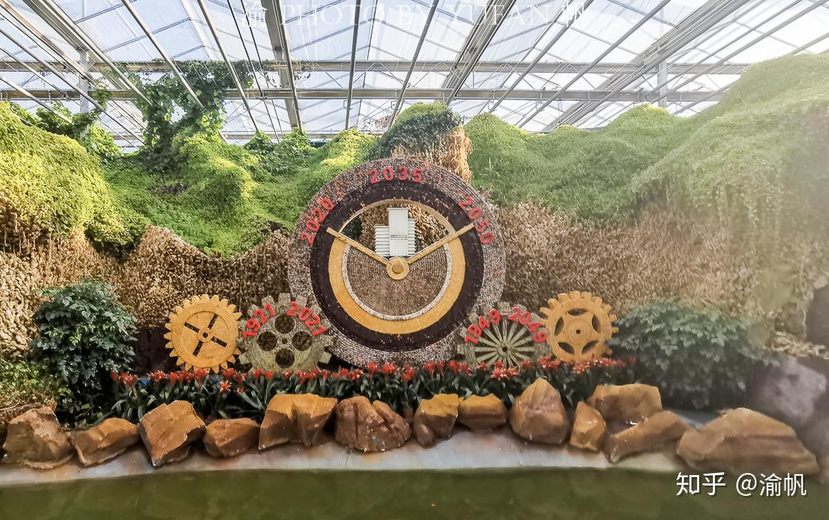 长春不愧是雕塑之城,一粒粒种子也能做出各种雕塑,真是大开眼界