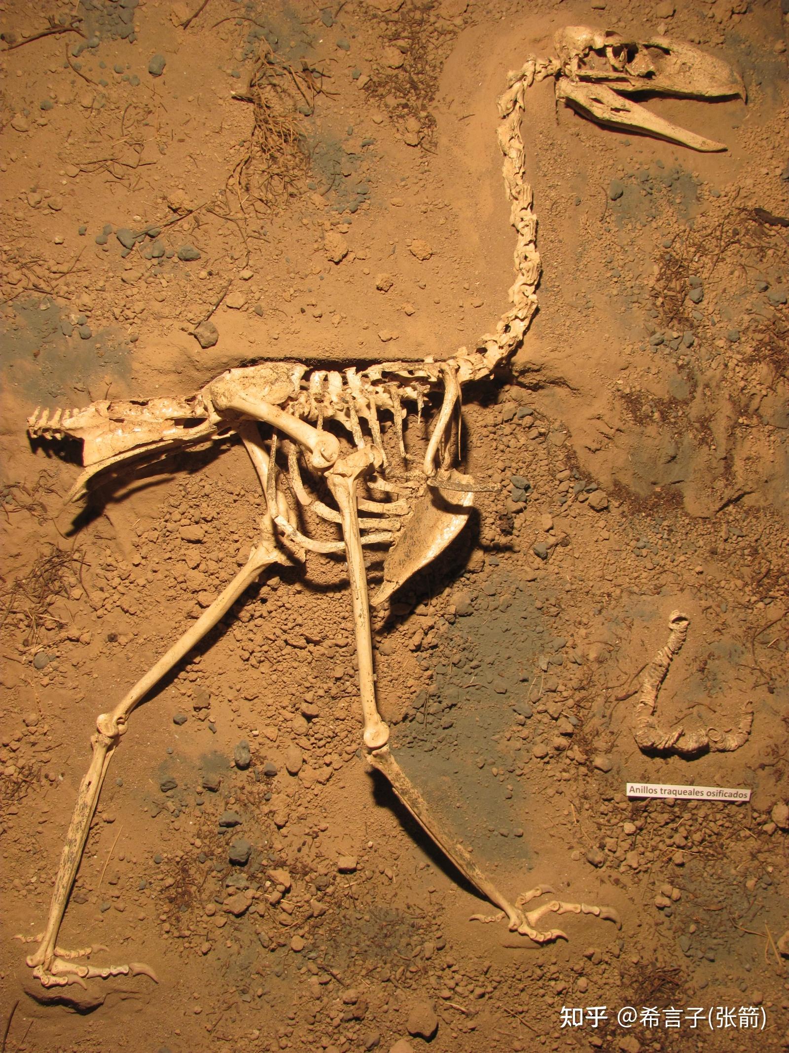 mathofwar1战争之数1设计讨论112希言子张箭主持2021年10月22日