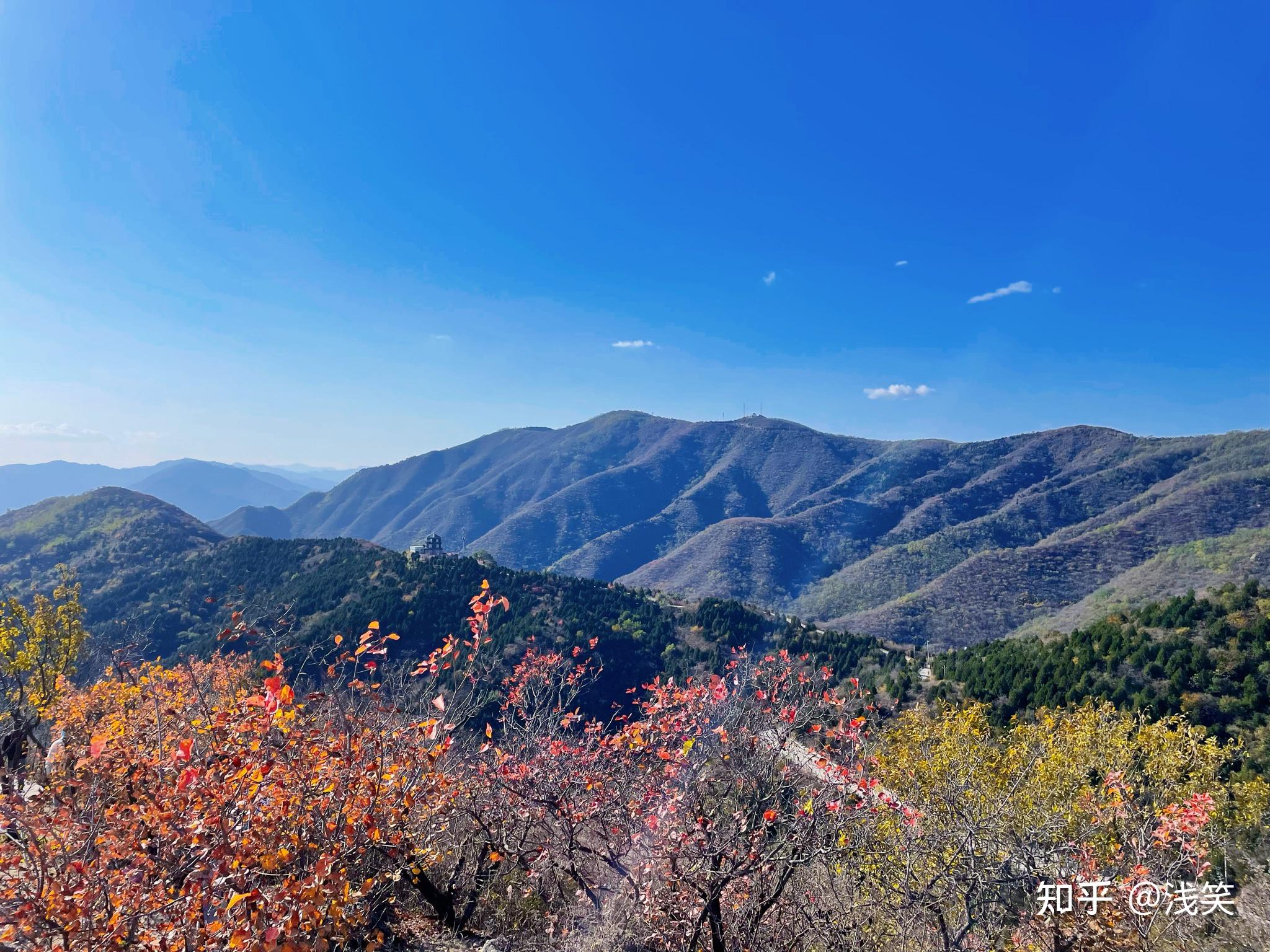 北平的秋天香山公园