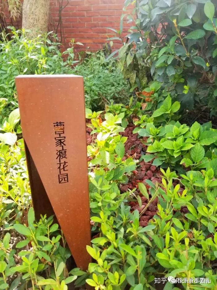 有机覆盖物案例与风共鸣的康余绿地