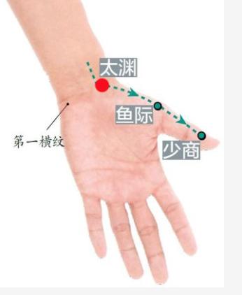 保护心脏平安有一妙招,按揉太渊穴,心律平稳防治心脏病 - 知乎
