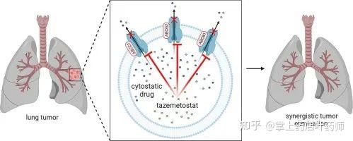 全球首款EZH2抑制剂他泽司他(Tazemetostat)为滤泡性淋巴瘤患者带来新选择! - 知乎