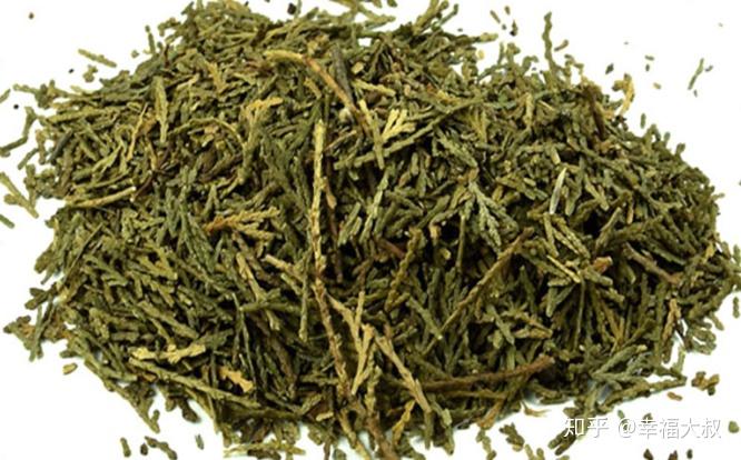 很多人用错方法,侧伯叶用于脂溢性脱发有奇效 - 知乎
