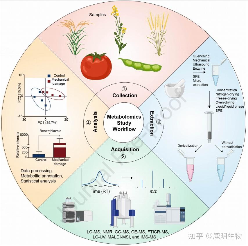 综述：植物代谢组学过去十年研究进展和未来展望 - 知乎