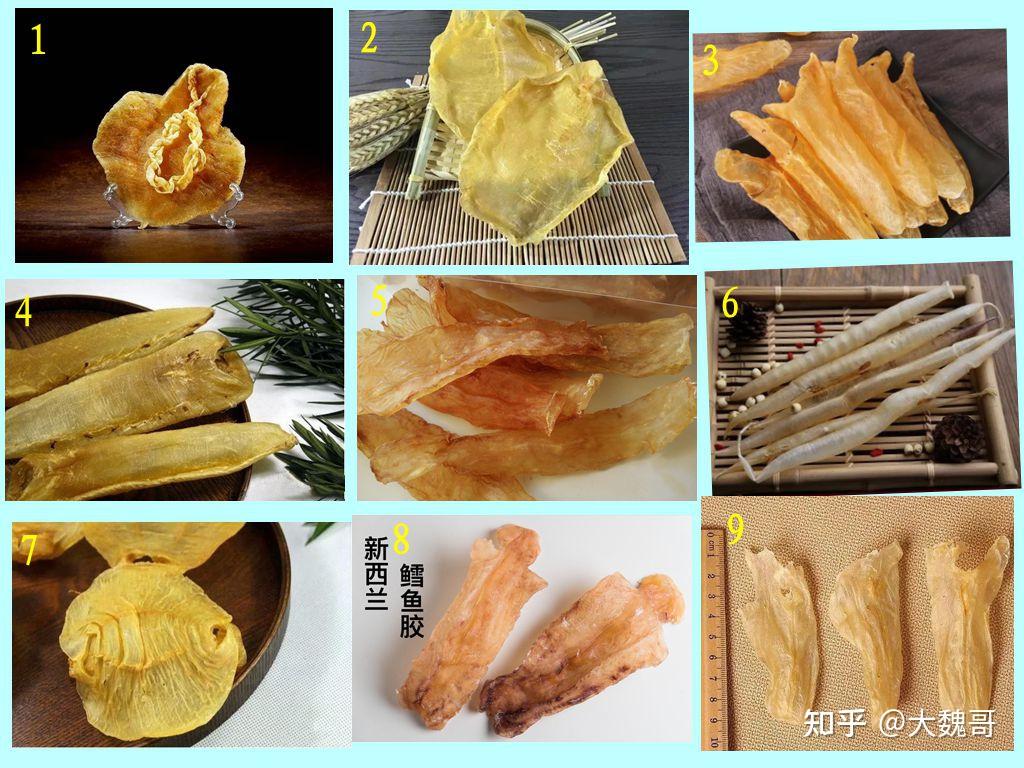 花胶是什么?怎么选购优质花胶,这篇文章说全了!