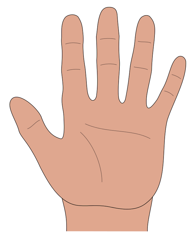 v2-a4eda7312fa8d12a0888a50903c2a624_1200x500.jpg