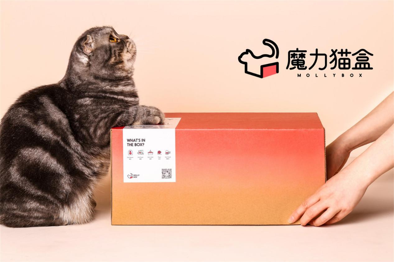 魔力猫盒全球严选x订阅制加码正品猫粮