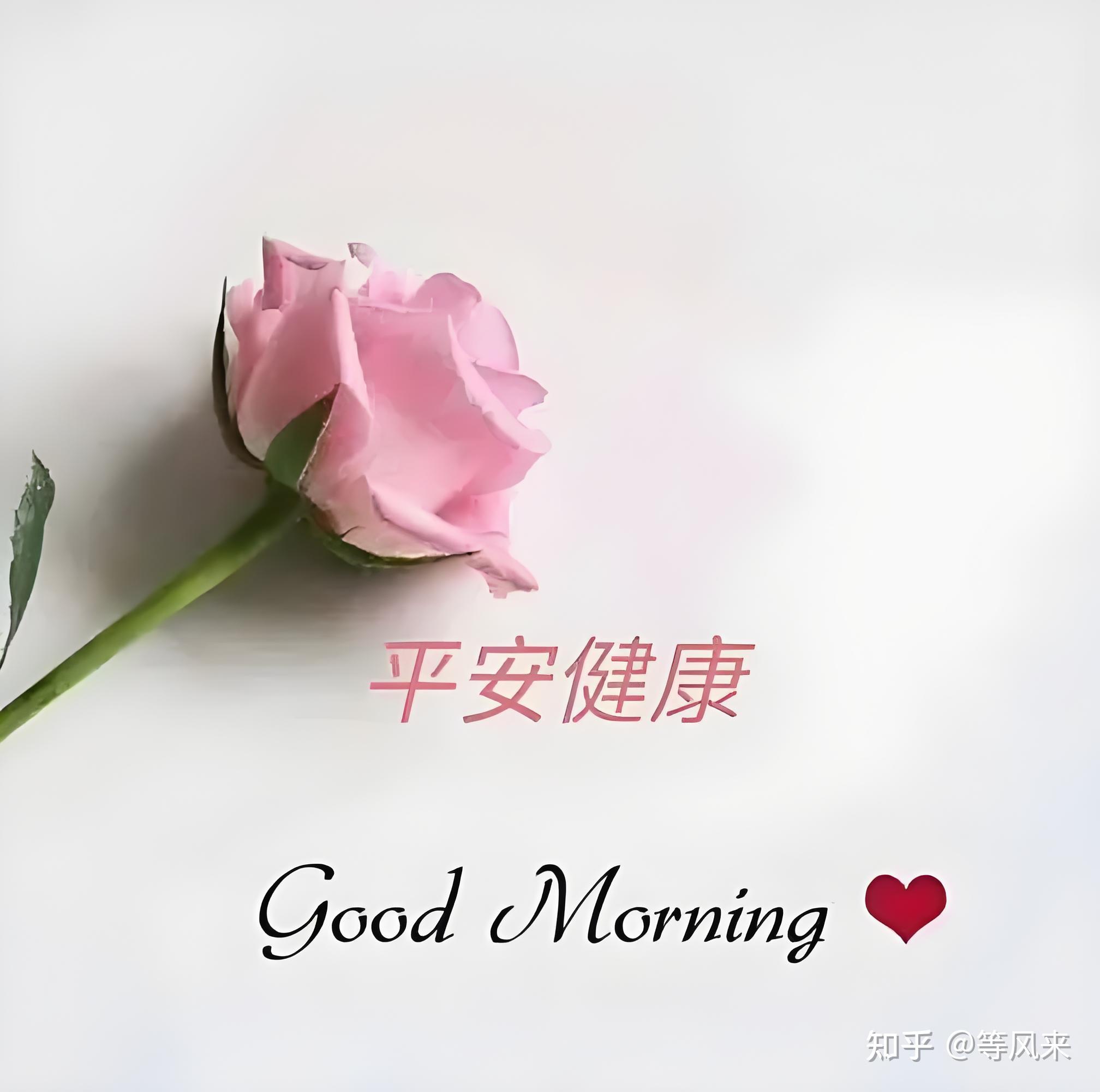 能对我说一句,早日康复吗!