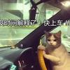 髡髡