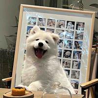 Zhihu profile picture for @maniacal