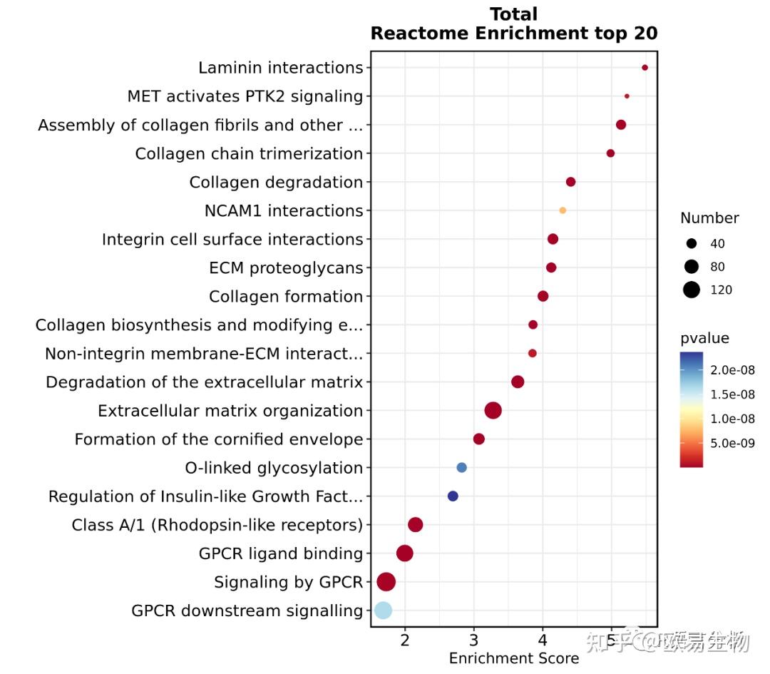一篇文章带你了解基因富集分析的四大数据库 - 知乎