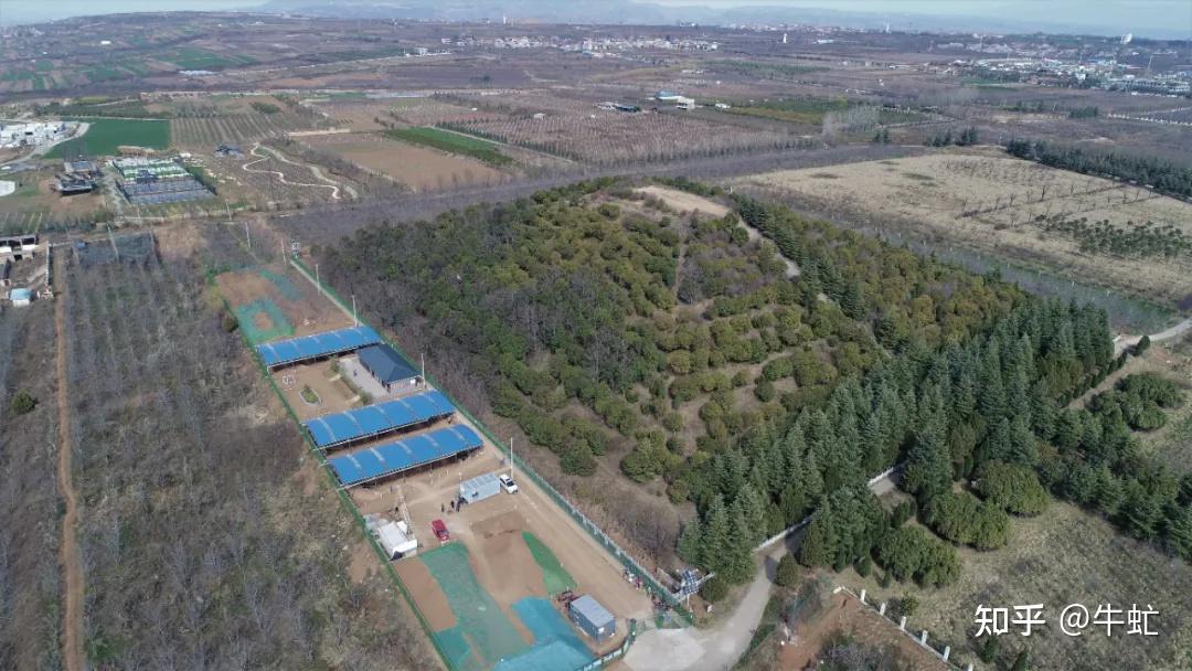 四大证据揭开谜底江村大墓墓主确定为汉文帝刘恒