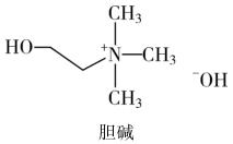第九节 胆碱 - 知乎