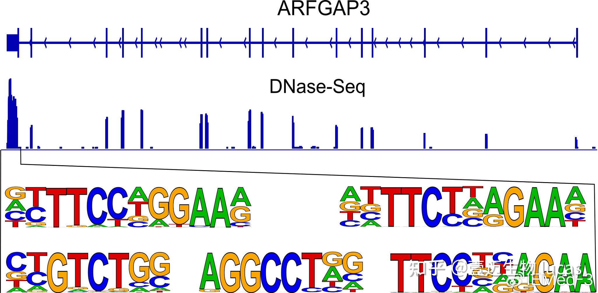 DNase Seq Kit 产品性能报告 (IEMed-K326) - 知乎