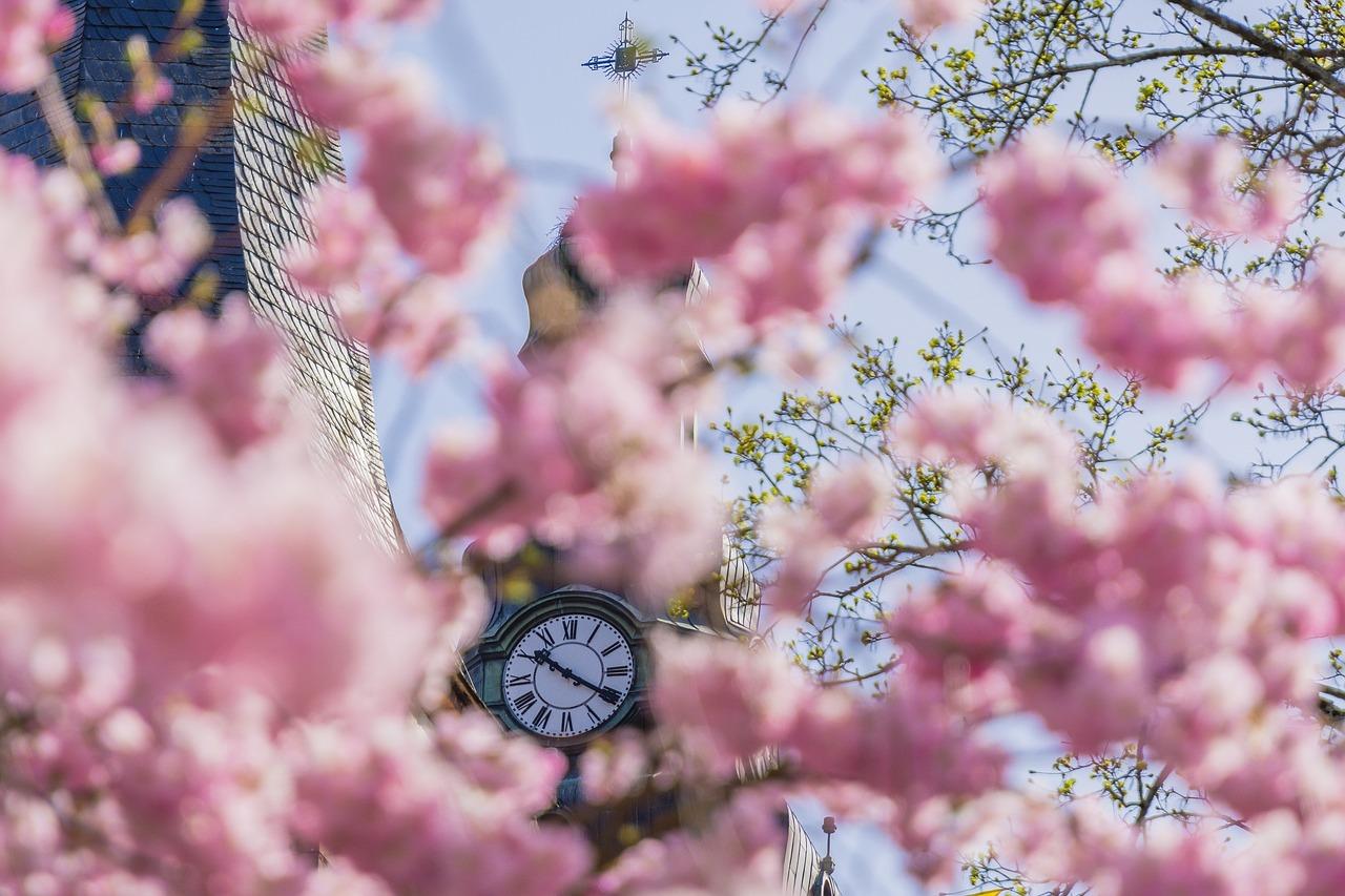 2. 冬日盛开的花朵