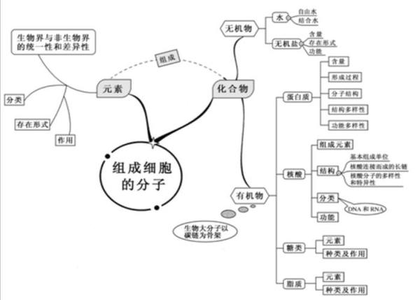 干货来袭 高中理科生生物要想拿高分必须掌握的高考生物思维导图 知乎