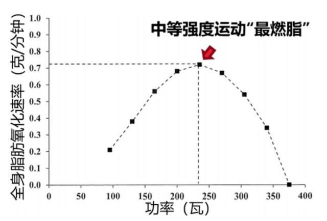运动强度多大能燃烧更多脂肪呢