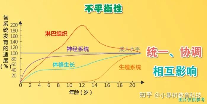 一,各身体系统发育是不平衡规律