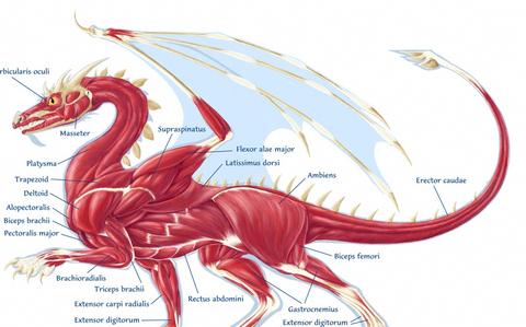 怎么成为一名前端工程师