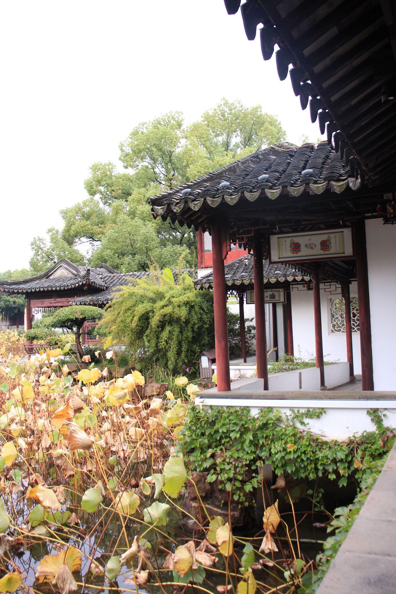 十一自驾好去处-太仓南园