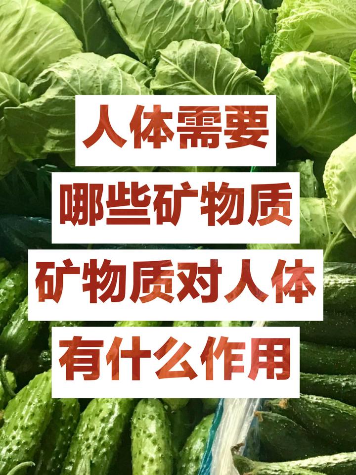 人體需要哪些礦物質礦物質對人體有什麼作用如何通過食物補充各種礦