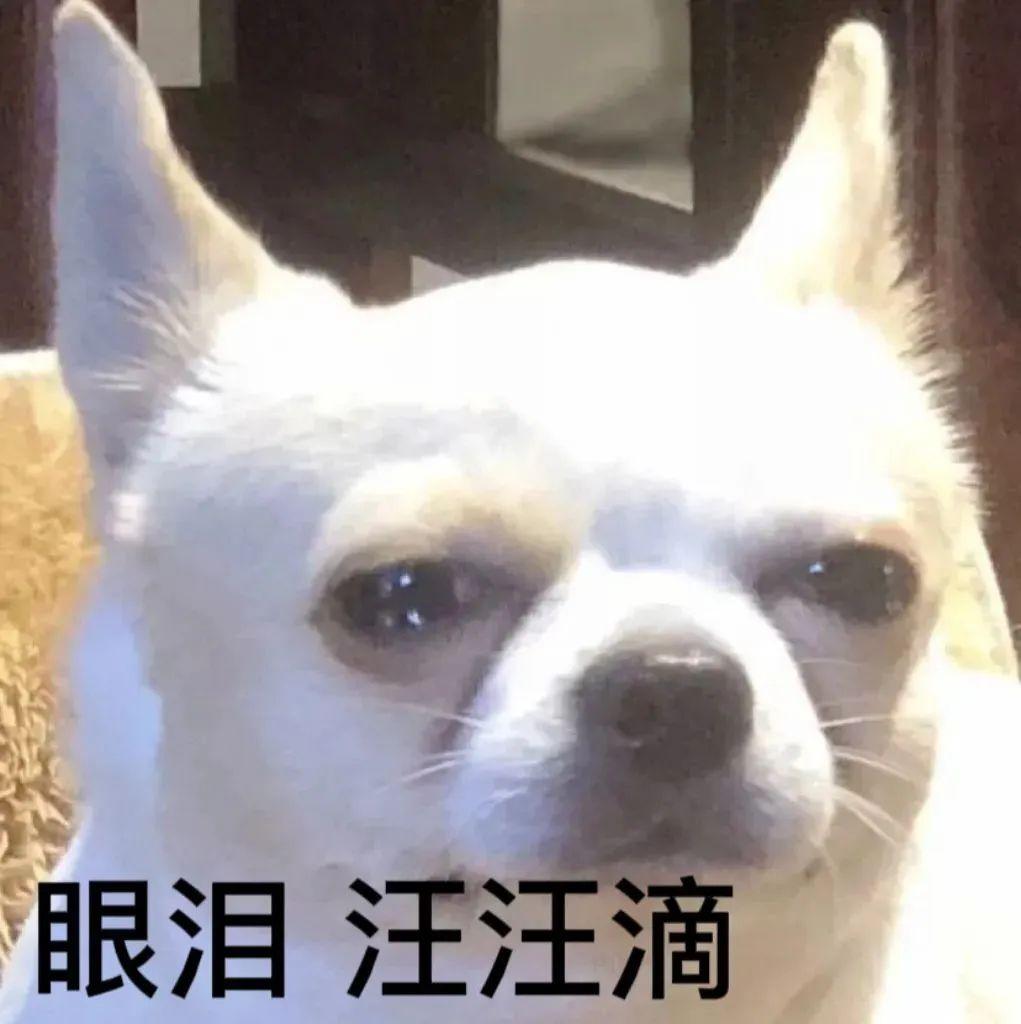 表情包 | 狗狗叠字配文表情包