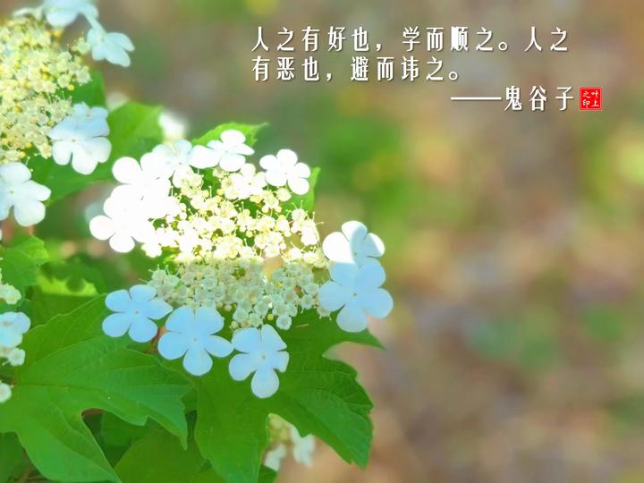 想要说服别人——先研究鬼谷子的游说术 - 知乎