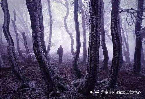 梦境探秘，棺材里的骷髅——解读梦境背后的深层含义