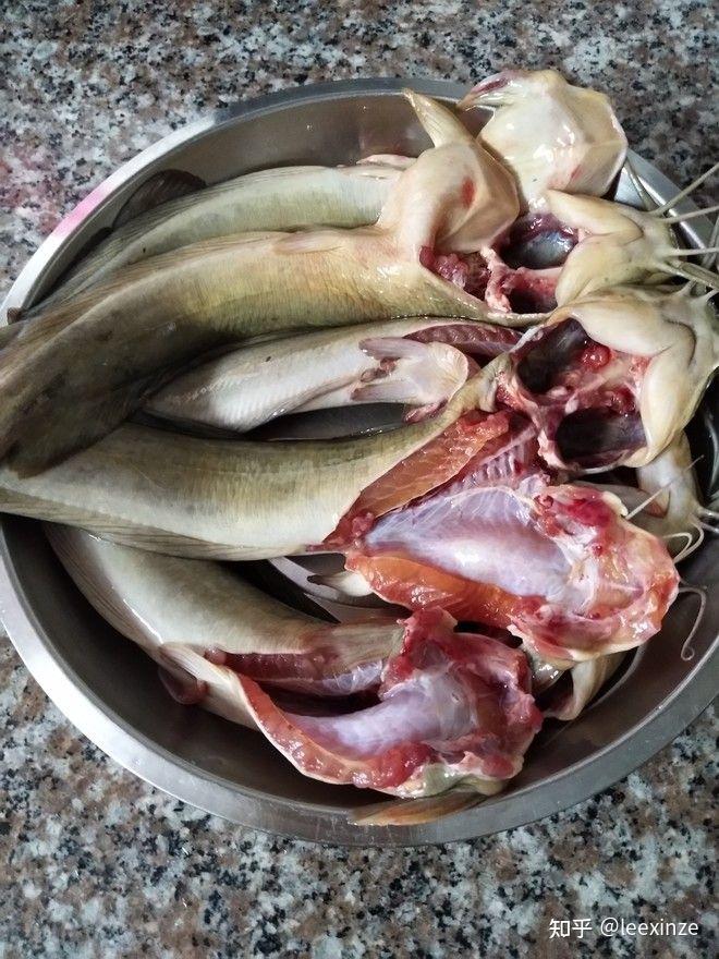 请问我们云南人称为江鳅或江拐的鱼学名叫什么,是属于鲶鱼科么?