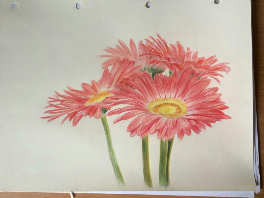 零绘画基础跨专业考研工业设计,如何弥补在绘