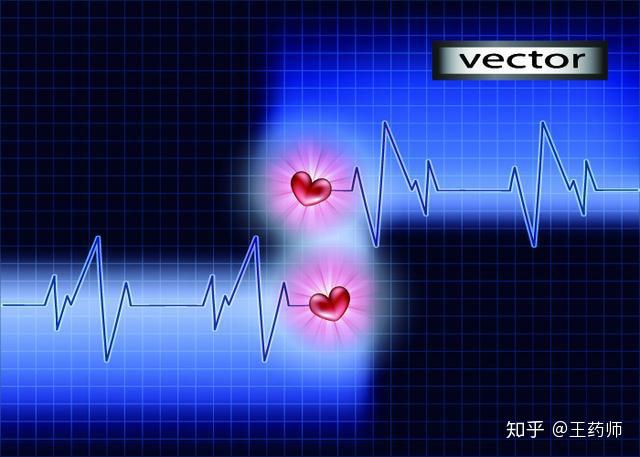 心跳多少最长寿心跳真的能决定寿命吗答案可能与你想的不一样