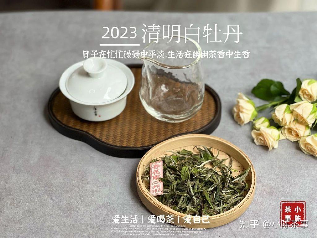 小朋友可以喝的茶叶（小朋友可以喝的茶叶有哪些） 小朋侪
可以喝的茶叶（小朋侪
可以喝的茶叶有哪些）《小朋友能喝的茶》 茶叶资讯