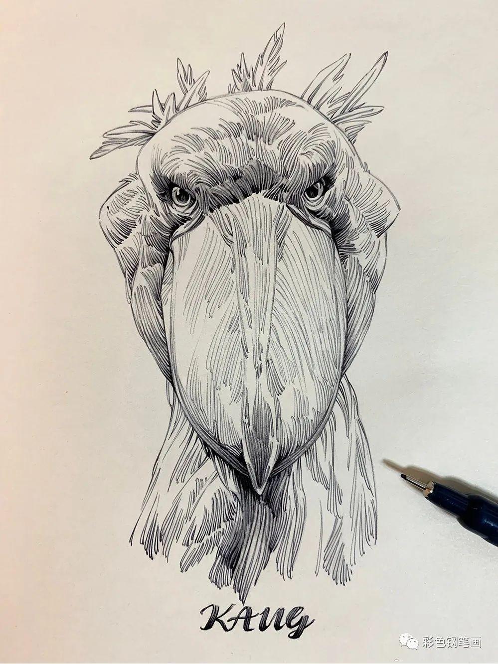 有没有这种纯线画的图?