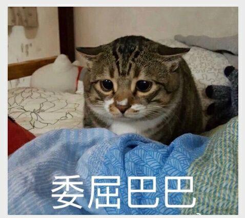 各位亲知道一本小说吗,古代穿越重生复仇的,只