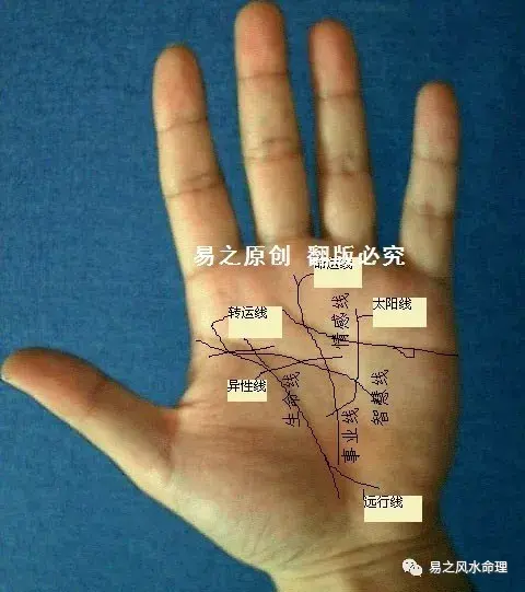 手相面相