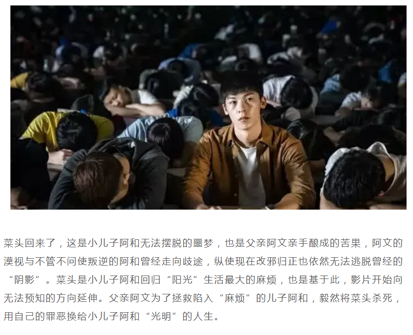 电影阳光普照那些被家里除名的孩子后来都怎么样了