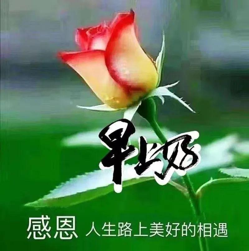 微信群发朋友早安问候语漂亮的早上好祝福图片