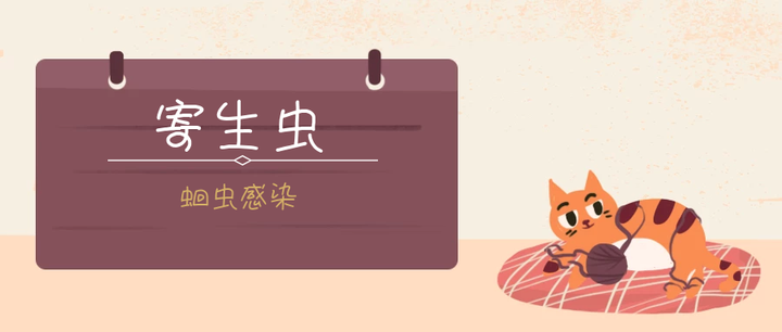 猫寄生虫系列 蛔虫感染2 0 知乎 猫寄生虫系列 蛔虫感染2 0 知乎