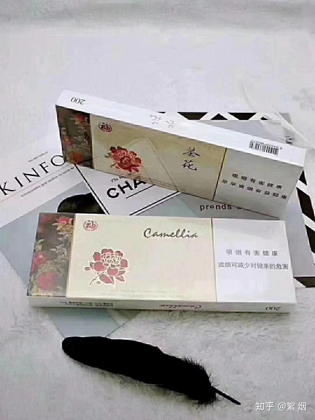细枝茶花