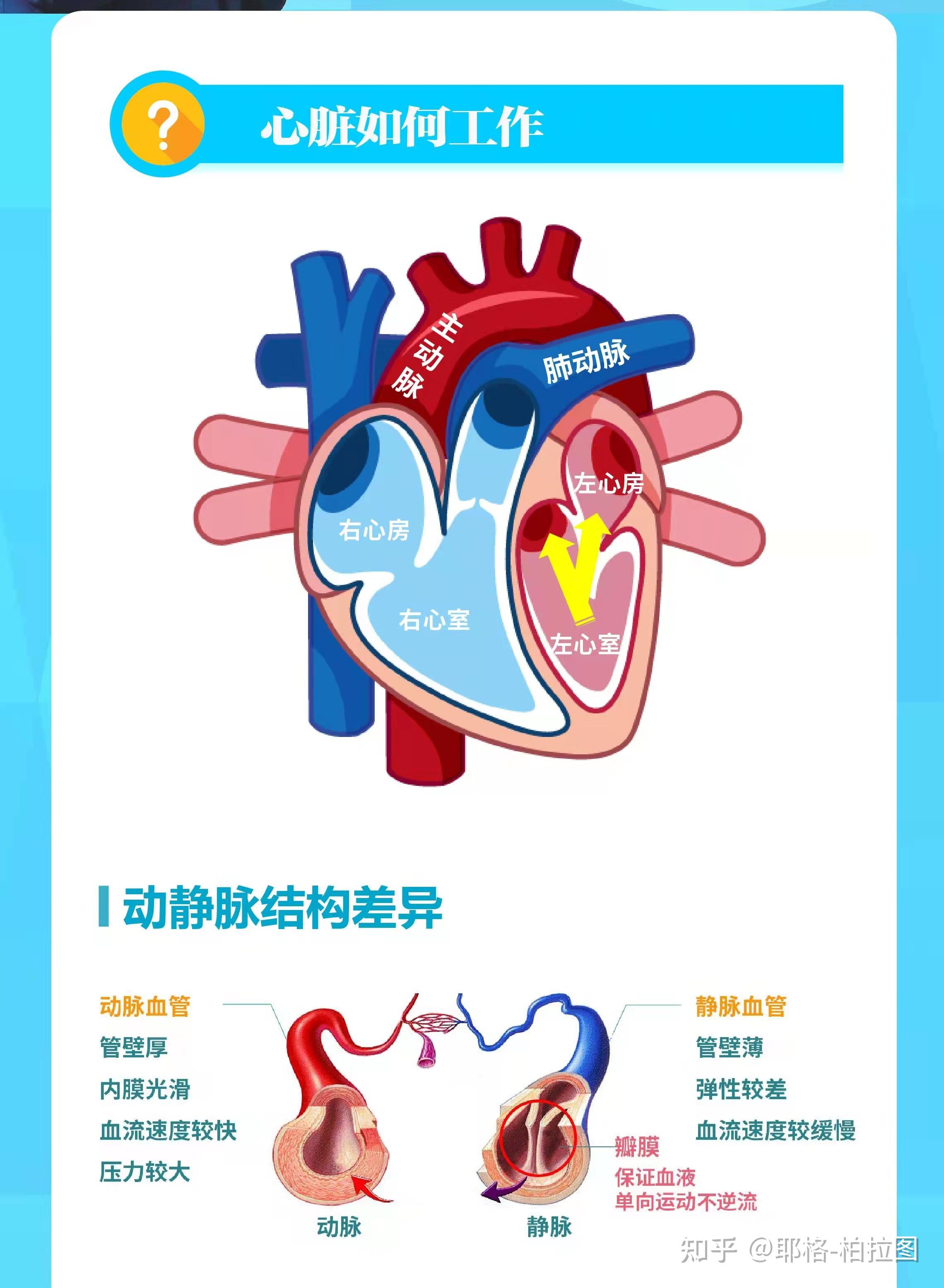 八大系统图片卡通图片