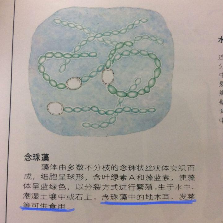 如何评价《舌尖上的中国》第三季? - 知乎