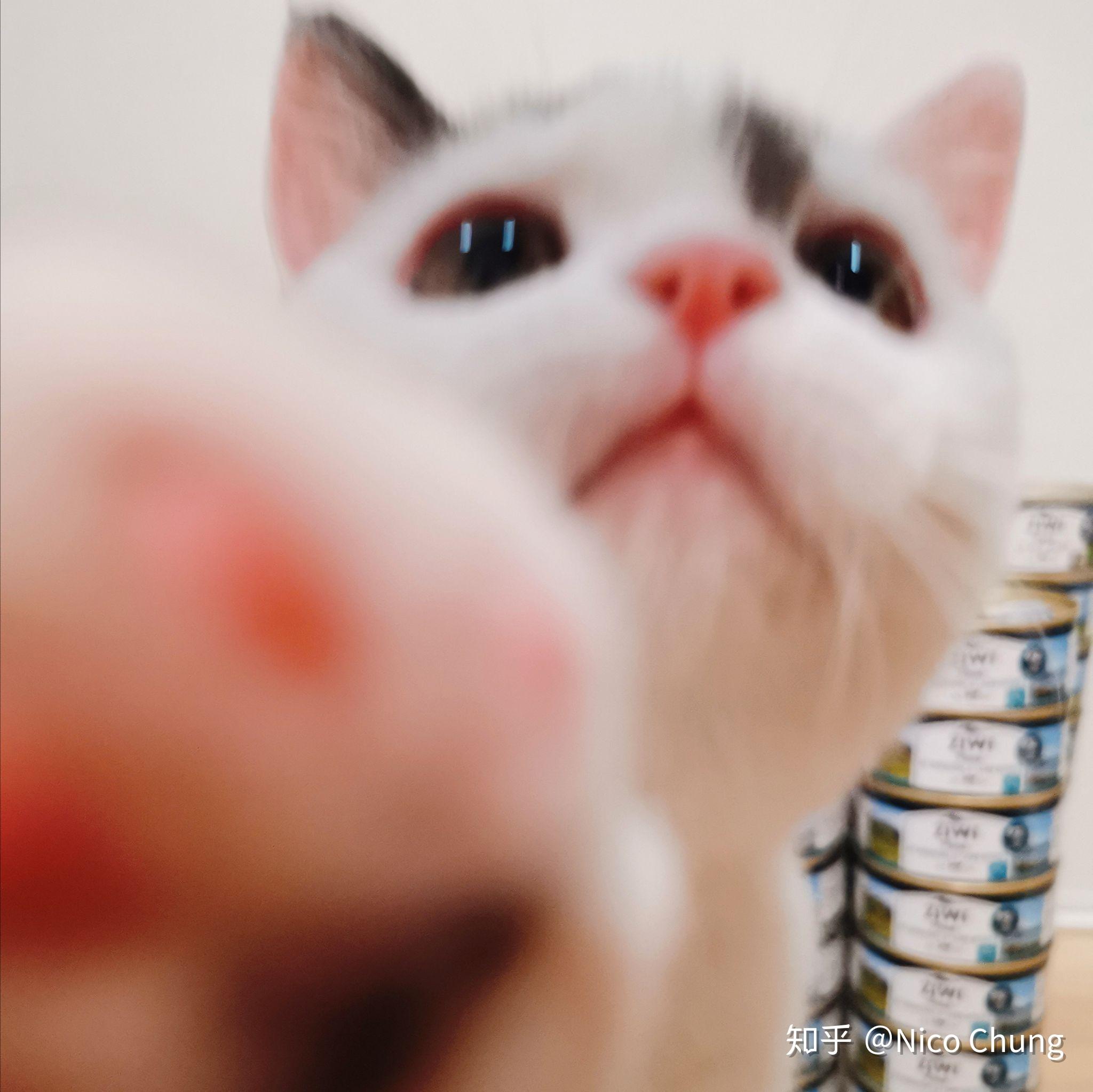 v2-a5c41e1460c825f65851223f0965f6fc_r.jpg