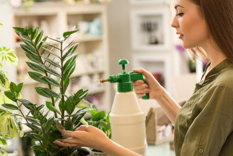 室内及阳台植物的人气商品 液体肥料 知乎