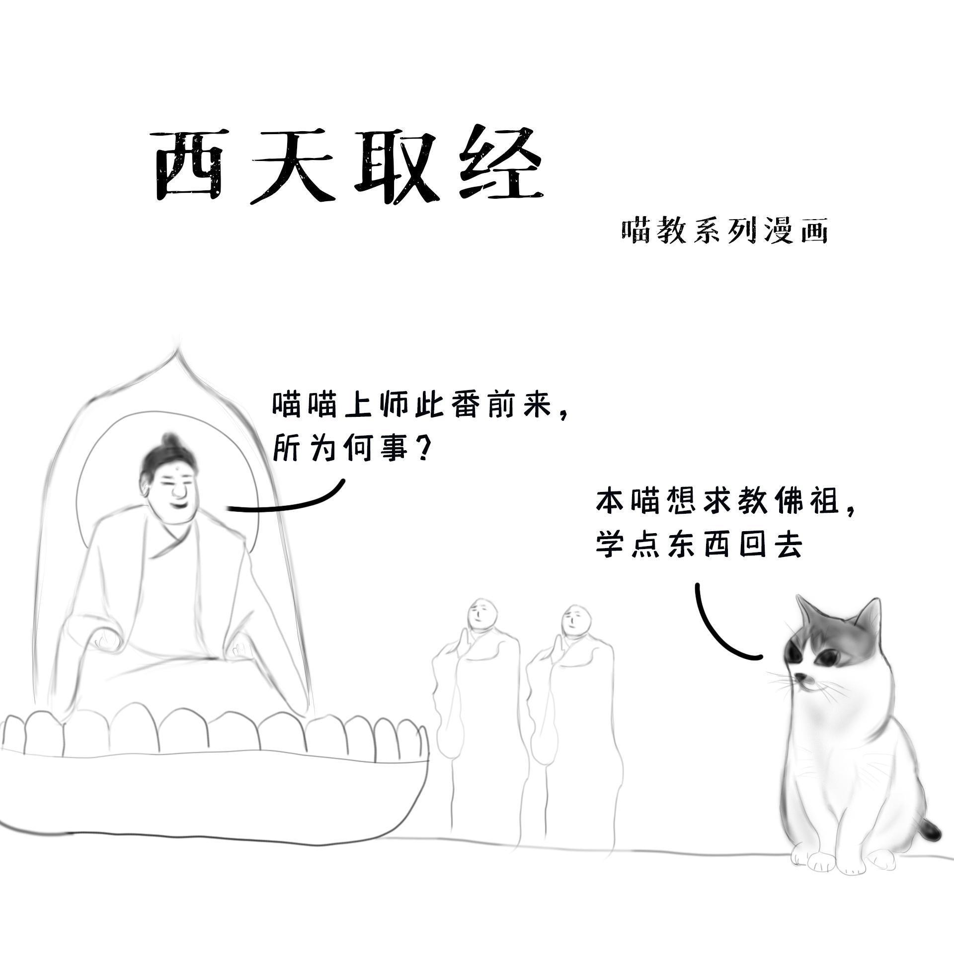 地球猫猫教西天取经