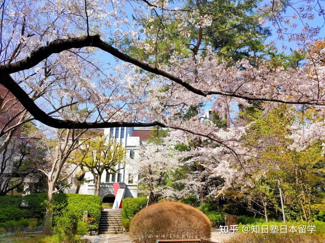 16 山形大学人文社会科学部 人文社会科学科· 网络出愿期间:2023年12