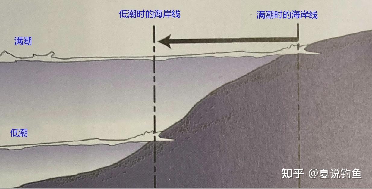路亚钓钓鱼的涨潮落潮日本专业钓鱼书籍