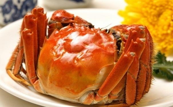大闸蟹怎么辨别公母?教你区分公蟹和母蟹 - 知乎